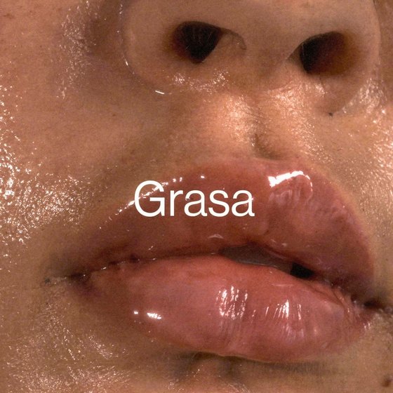 Piel Grasa